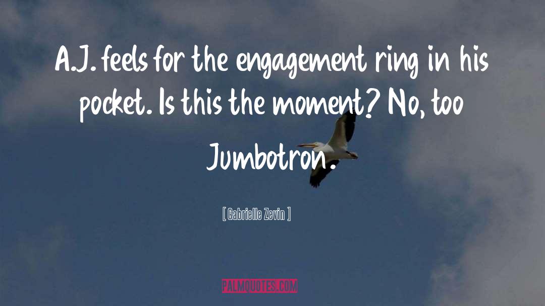 Engagement quotes by Gabrielle Zevin