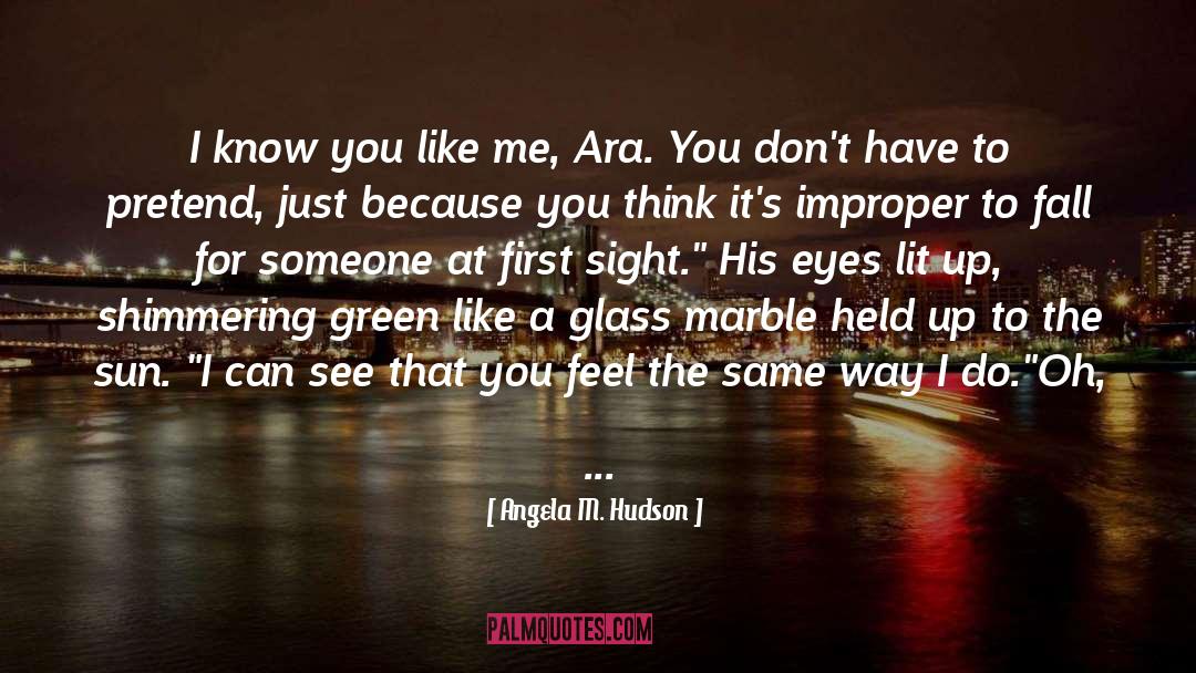 Engelli Ara quotes by Angela M. Hudson