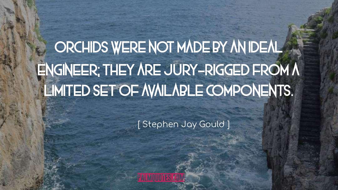 Engineer quotes by Stephen Jay Gould