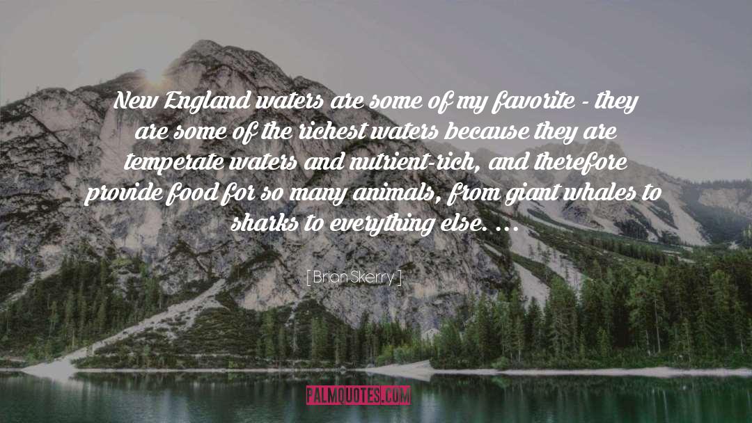 England quotes by Brian Skerry