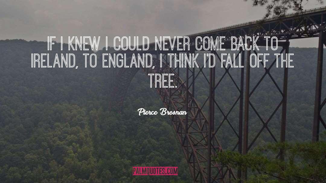 England quotes by Pierce Brosnan