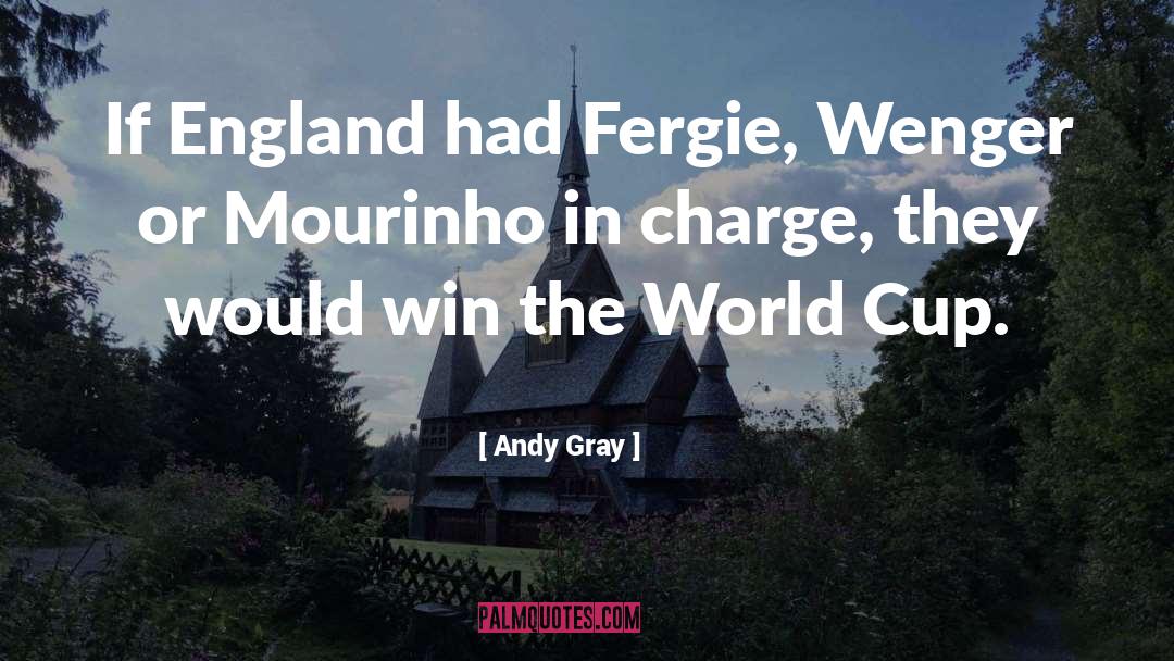 England World Cup Football quotes by Andy Gray