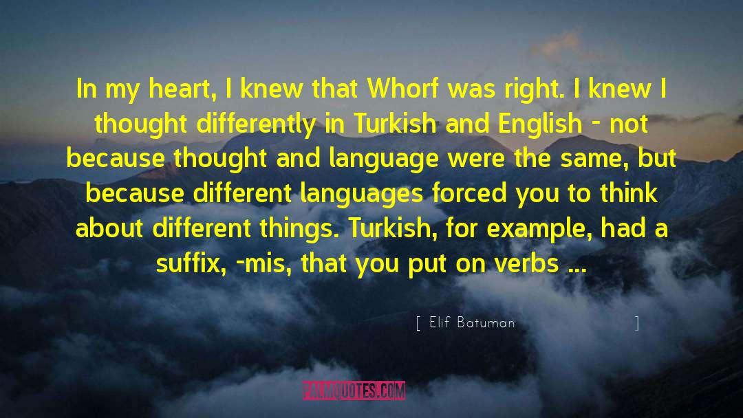 English Language Purity quotes by Elif Batuman