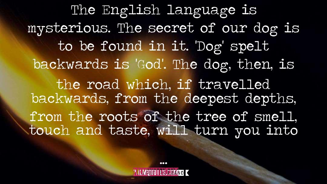 English Language quotes by Miguel Serrano