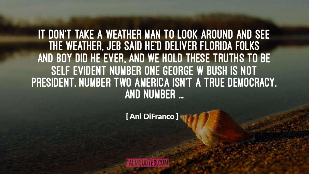 English Weather quotes by Ani DiFranco