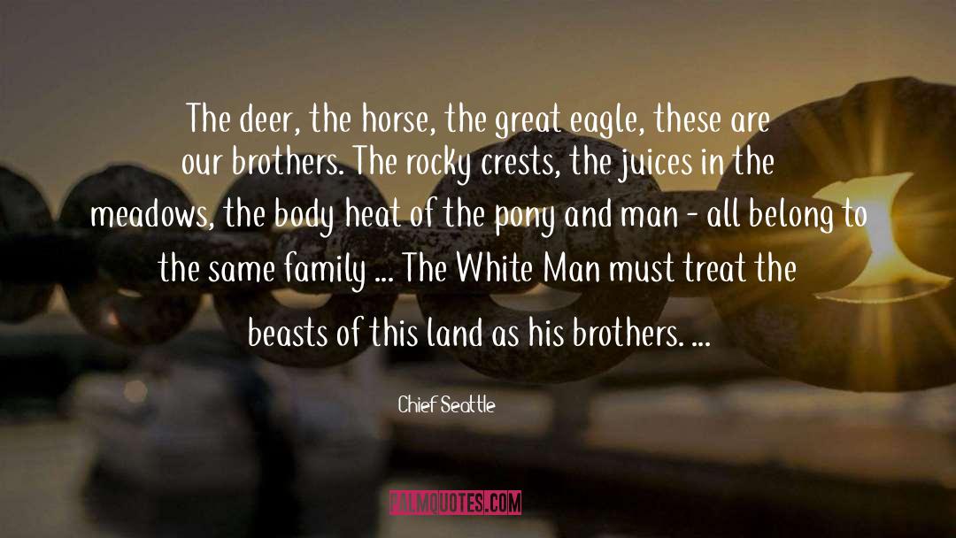 Engorged Deer quotes by Chief Seattle