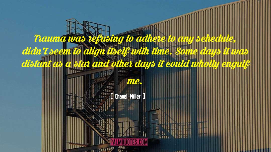 Engulf quotes by Chanel Miller