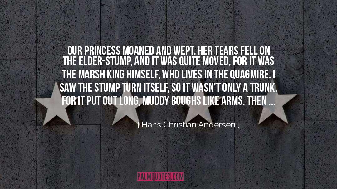 Engulfed quotes by Hans Christian Andersen