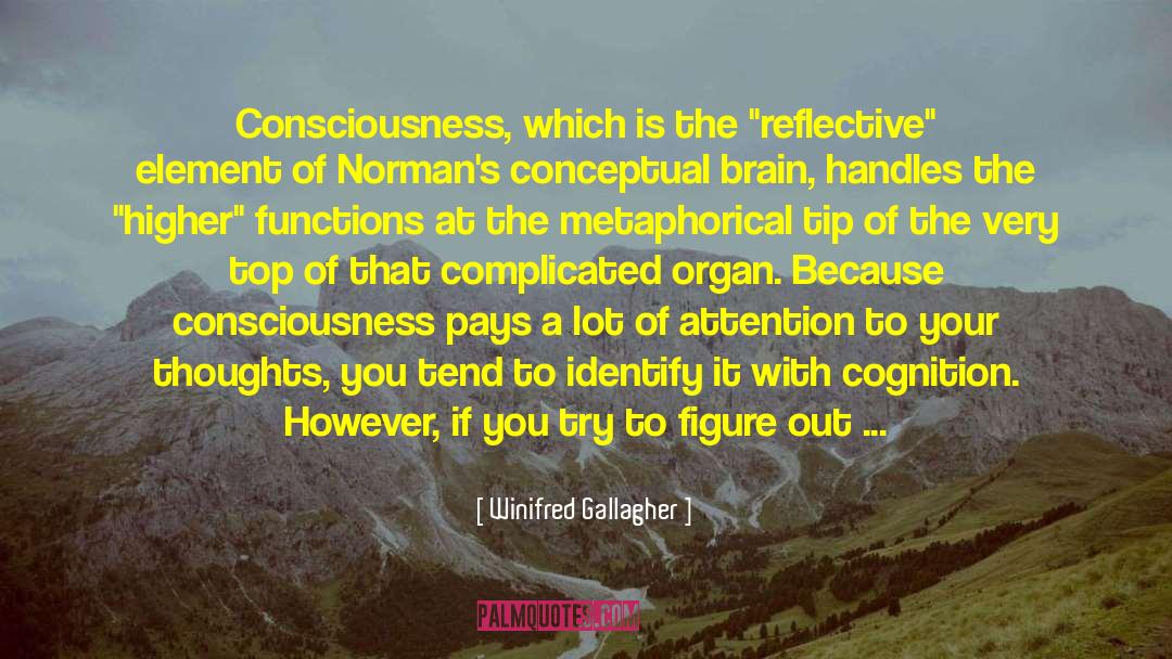 Enhance Your Consciousness quotes by Winifred Gallagher