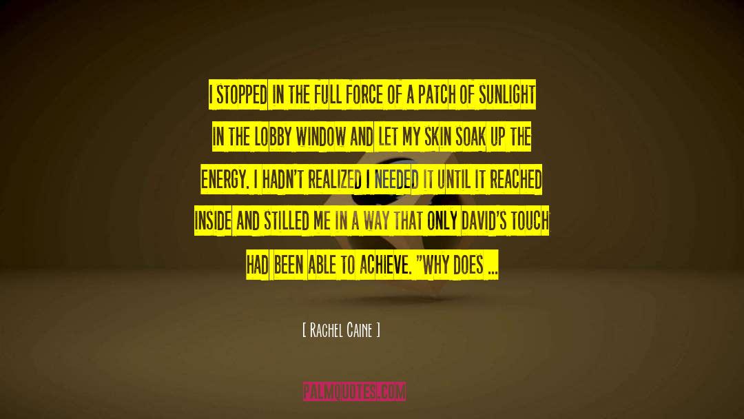 Enies Lobby quotes by Rachel Caine