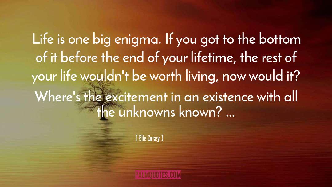 Enigma quotes by Elle Casey