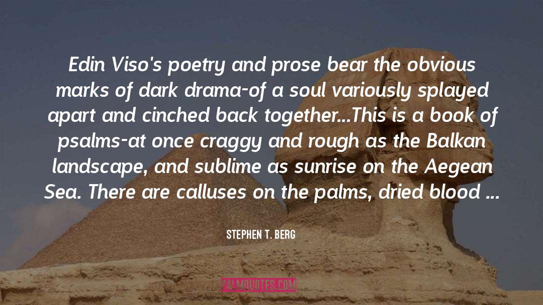 Enjambments In Poetry quotes by Stephen T. Berg