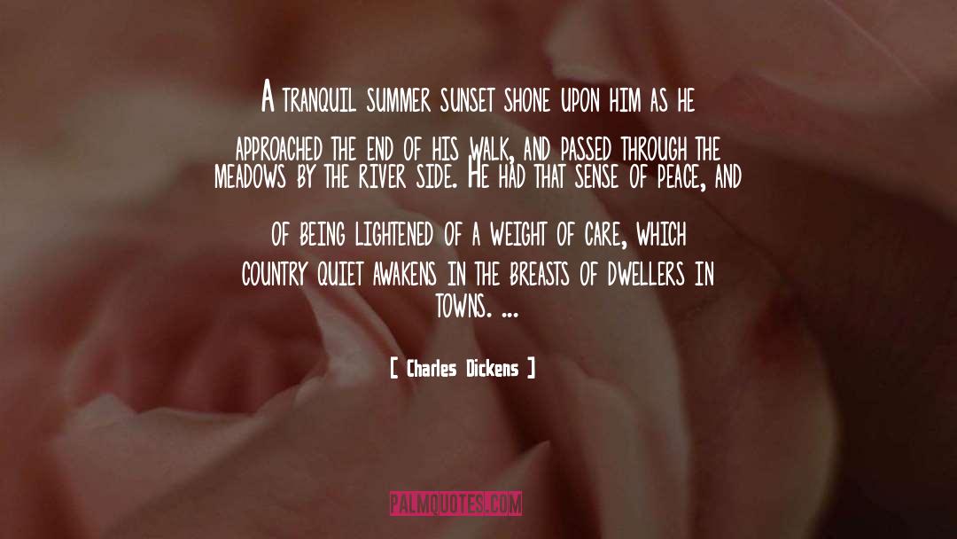Enjoy A Sunset quotes by Charles Dickens