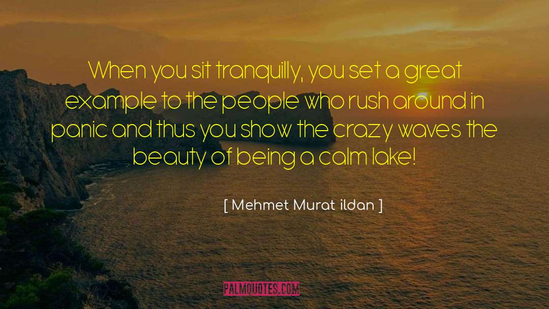 Enjoy Beauty quotes by Mehmet Murat Ildan