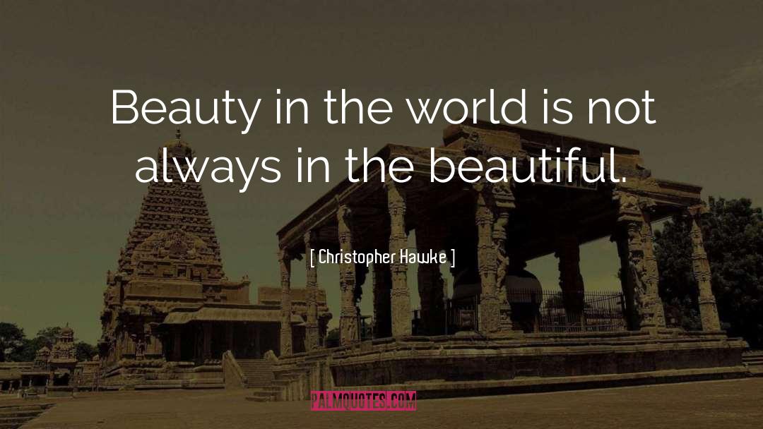Enjoy Beauty quotes by Christopher Hawke