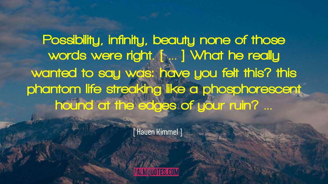 Enjoy Beauty quotes by Haven Kimmel