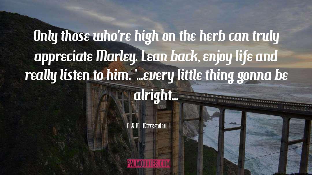 Enjoy Every Little Thing In Life quotes by A.K. Kuykendall