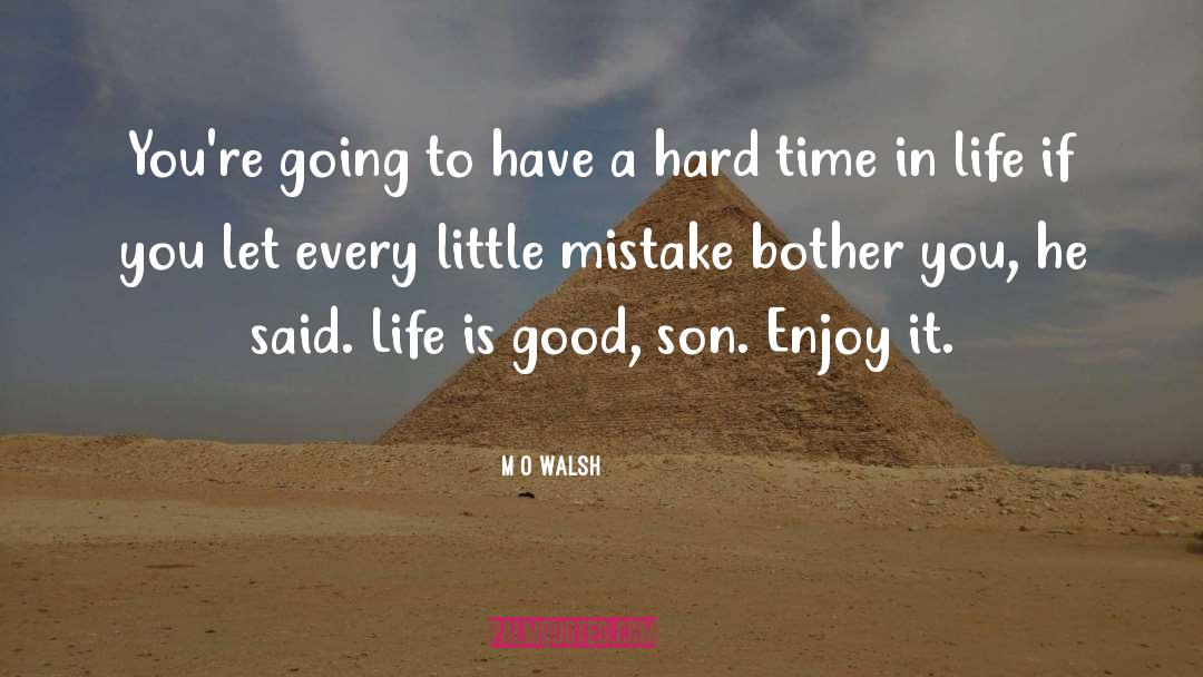 Enjoy Every Little Thing In Life quotes by M O Walsh