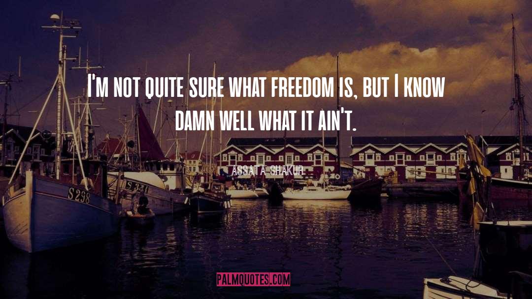 Enjoy Freedom quotes by Assata Shakur