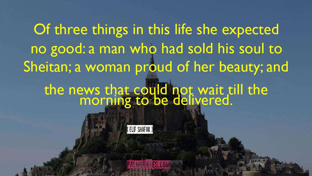 Enjoy The Beauty Of A Woman quotes by Elif Shafak