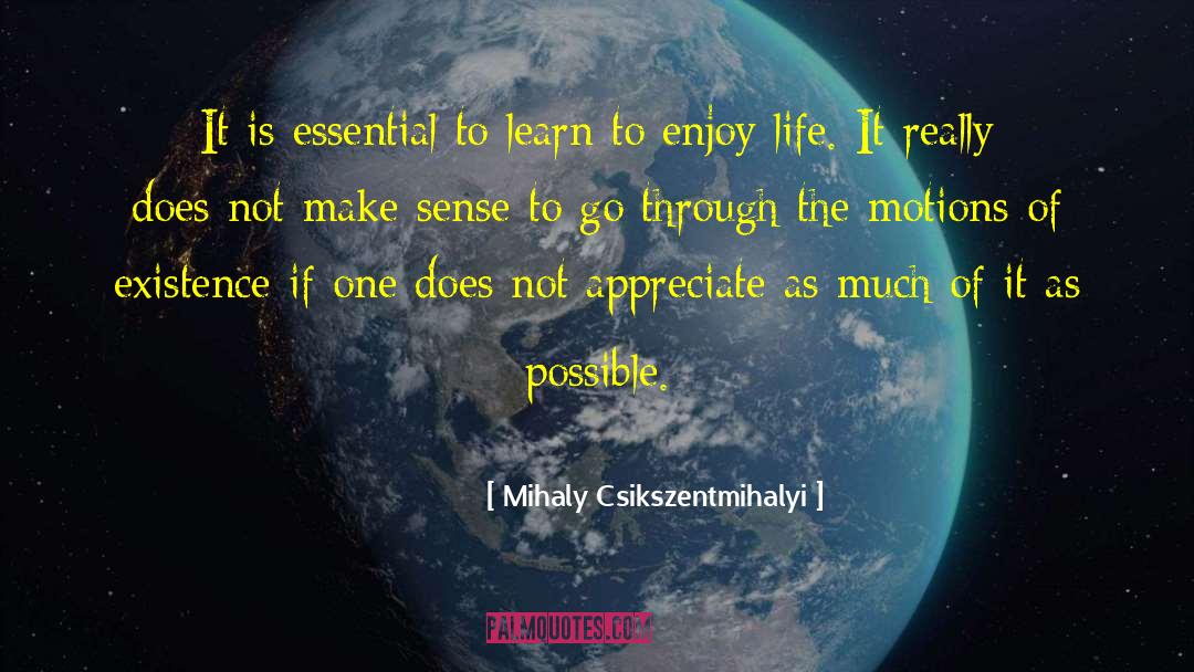 Enjoy The Journey quotes by Mihaly Csikszentmihalyi