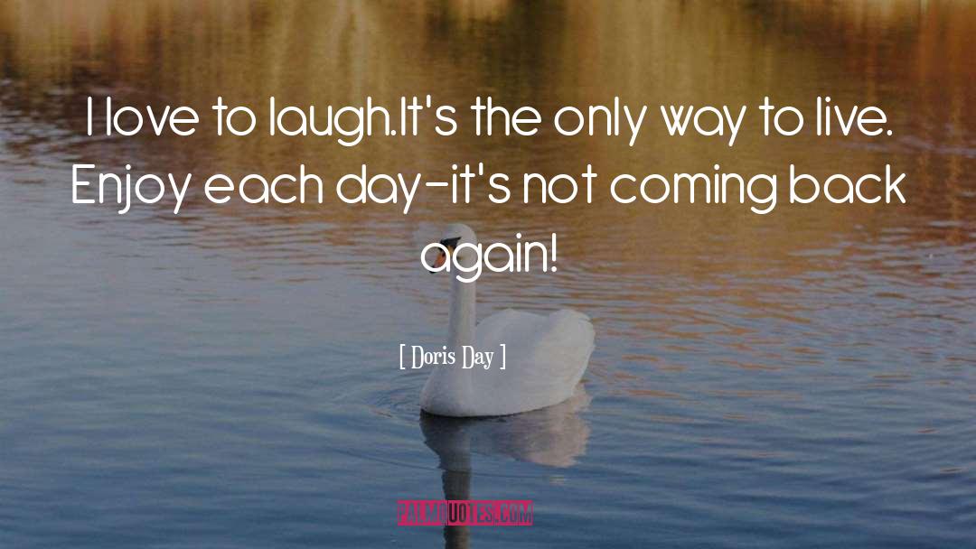 Enjoy The Journey quotes by Doris Day