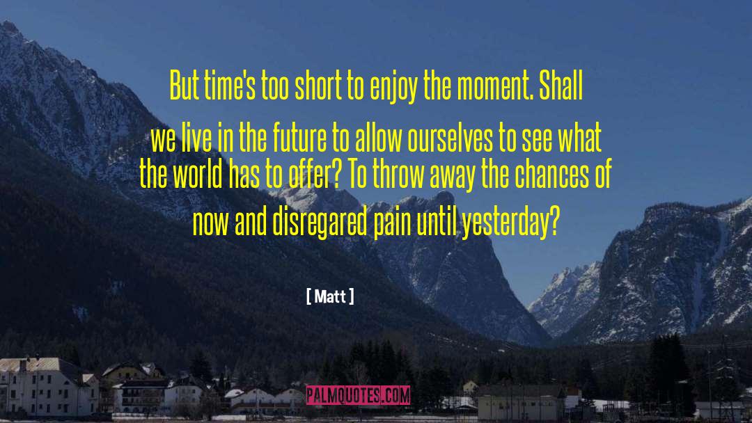 Enjoy The Moment quotes by Matt