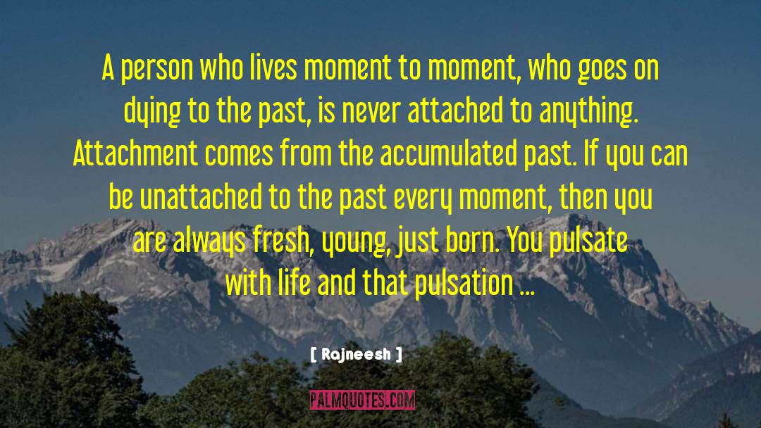 Enjoy The Moment quotes by Rajneesh