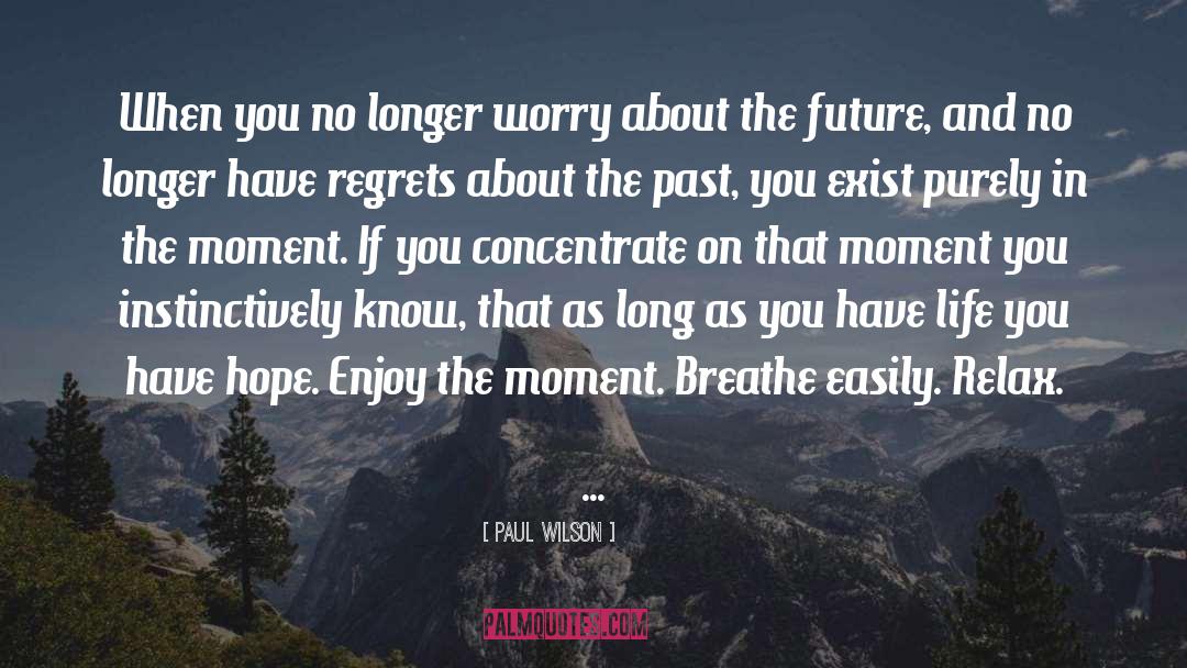 Enjoy The Moment quotes by Paul Wilson