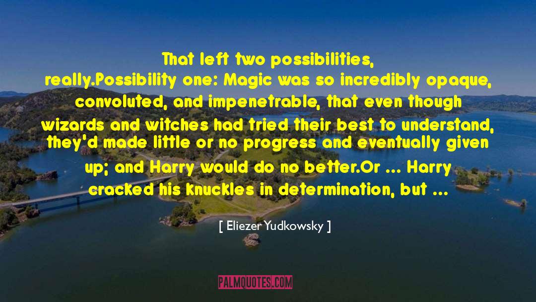 Enjoy The Possibilities quotes by Eliezer Yudkowsky