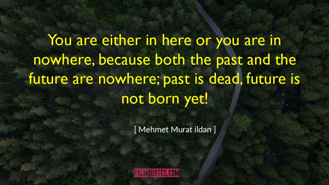 Enjoy The Present And The Future quotes by Mehmet Murat Ildan