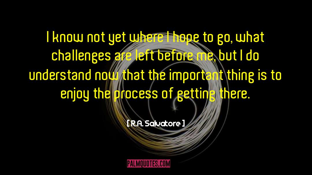 Enjoy The Process quotes by R.A. Salvatore