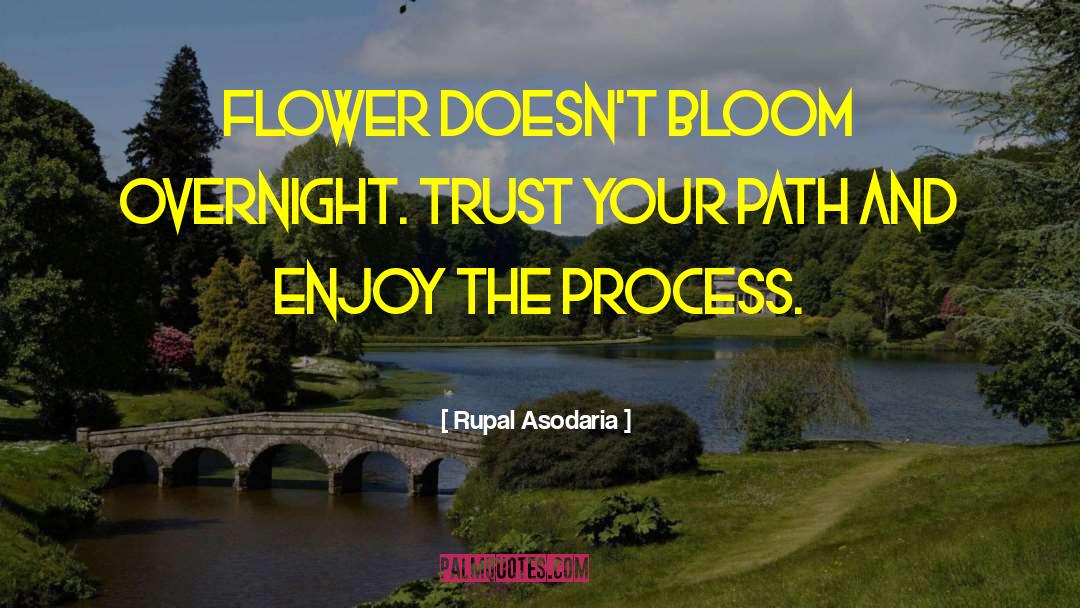 Enjoy The Process quotes by Rupal Asodaria