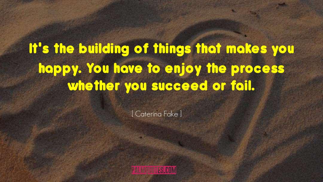 Enjoy The Process quotes by Caterina Fake