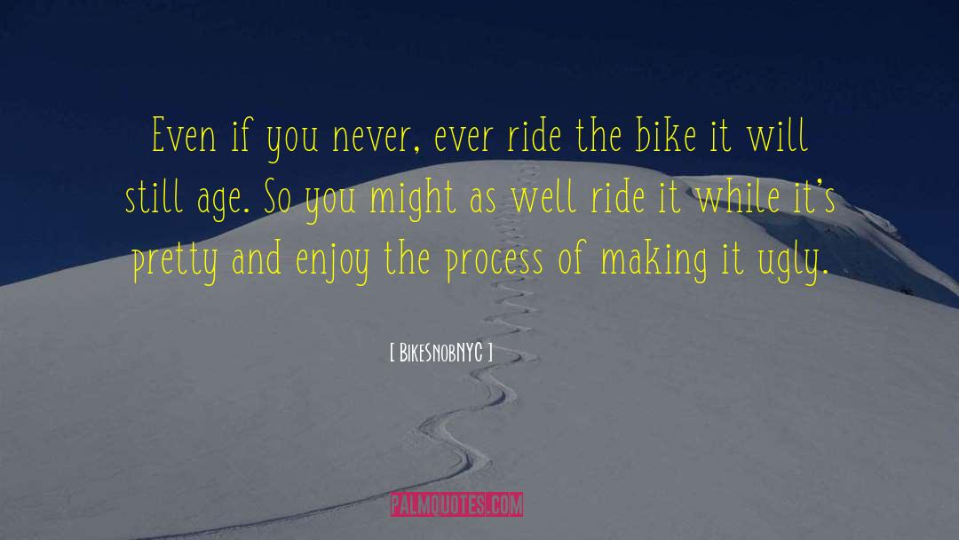 Enjoy The Process quotes by BikeSnobNYC