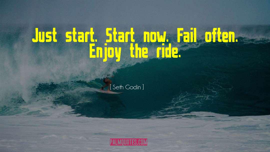 Enjoy The Ride quotes by Seth Godin