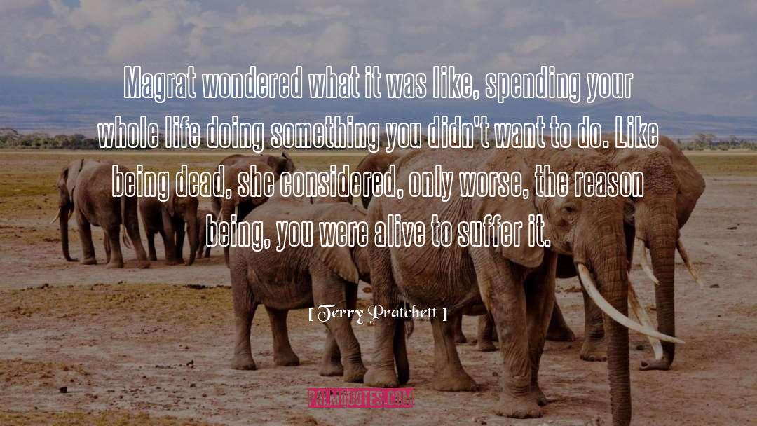 Enjoy Your Life quotes by Terry Pratchett