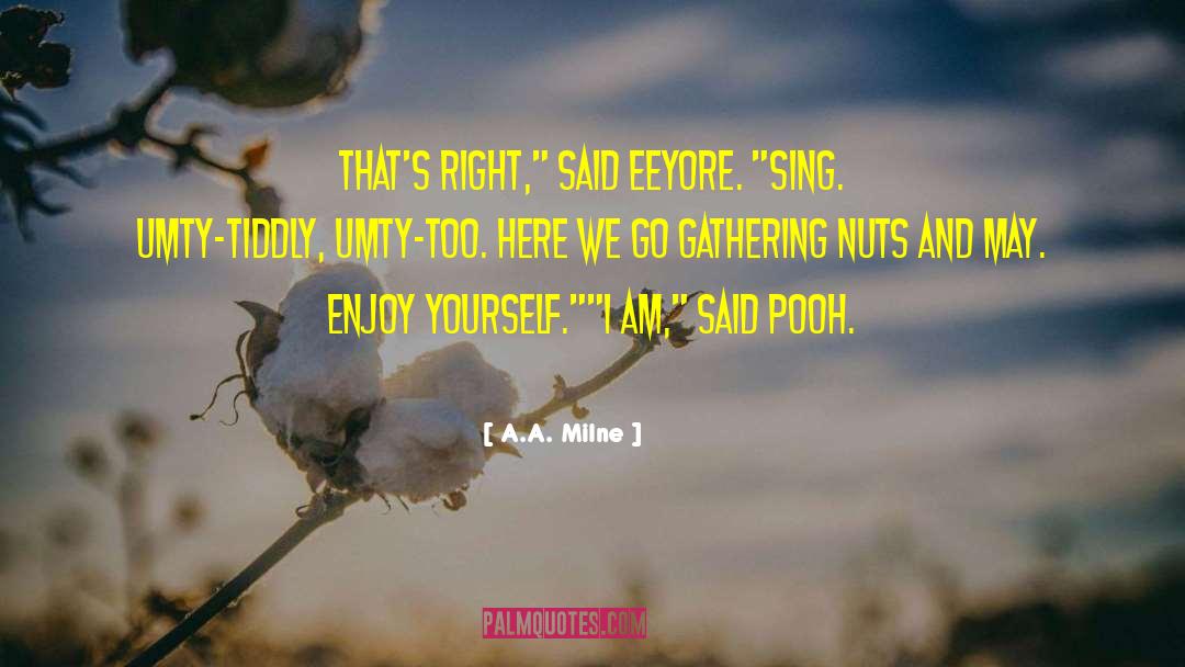 Enjoy Yourself quotes by A.A. Milne