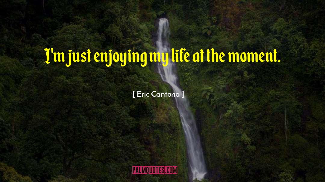Enjoying My Life quotes by Eric Cantona