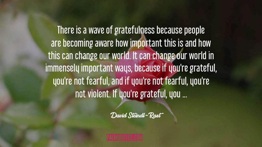 Enjoying quotes by David Steindl-Rast