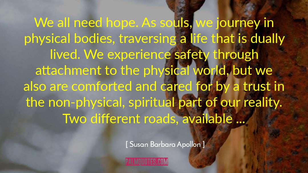 Enjoying The Journey quotes by Susan Barbara Apollon