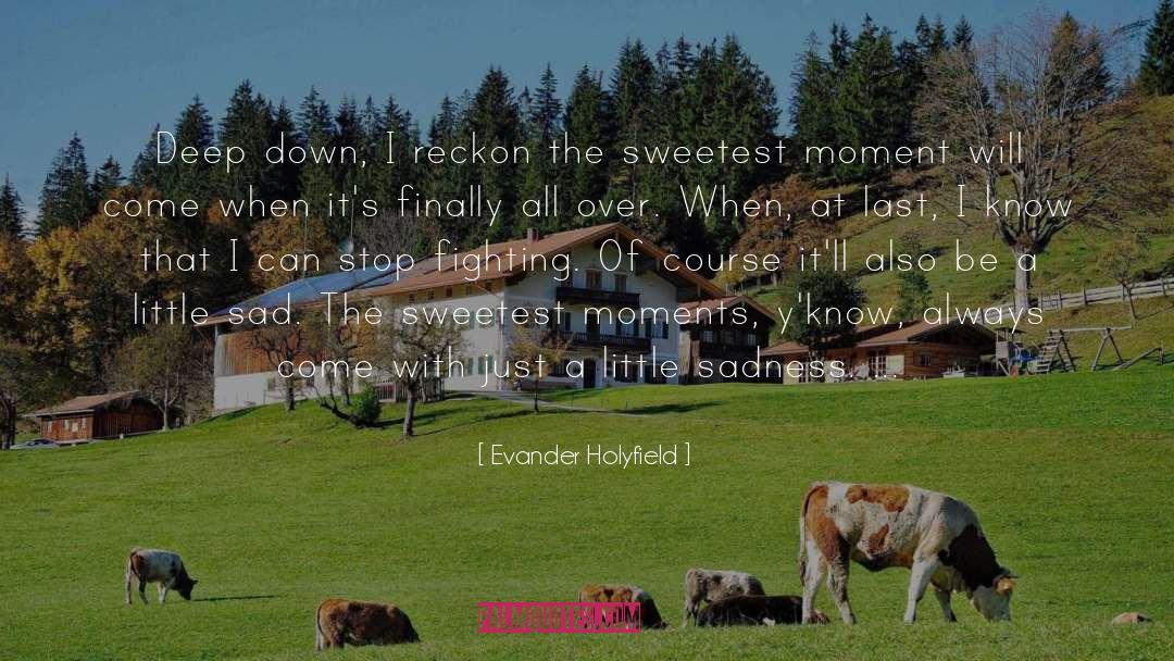 Enjoying The Little Moments quotes by Evander Holyfield