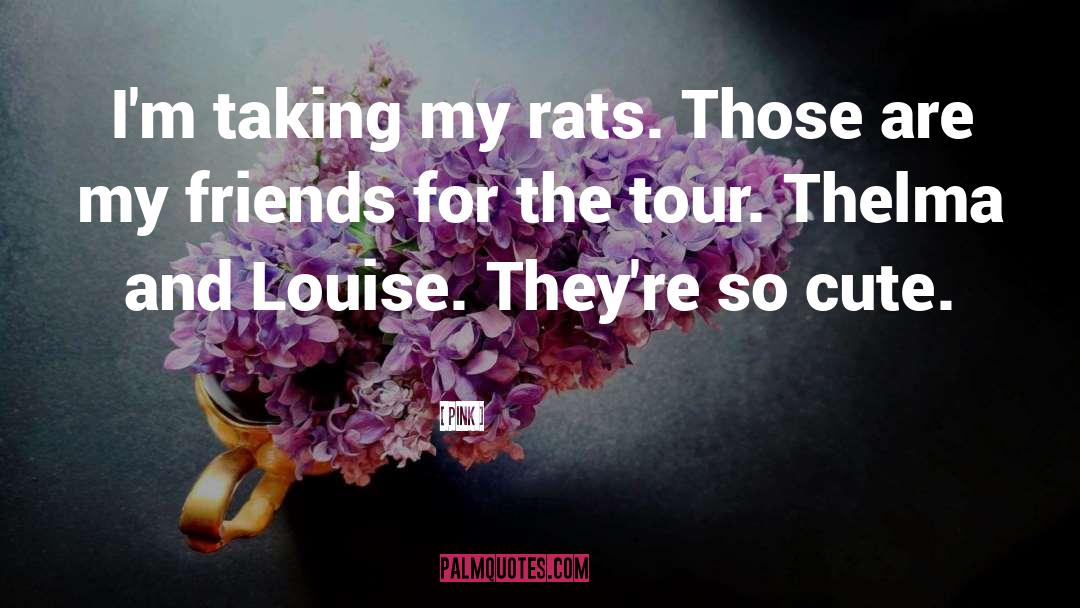 Enjoying Tour With Friends quotes by Pink
