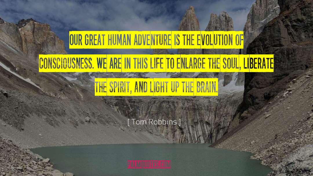 Enlarge quotes by Tom Robbins