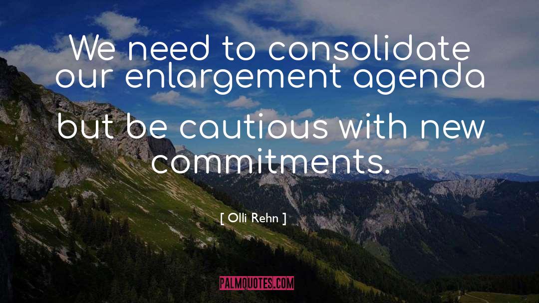 Enlargement quotes by Olli Rehn