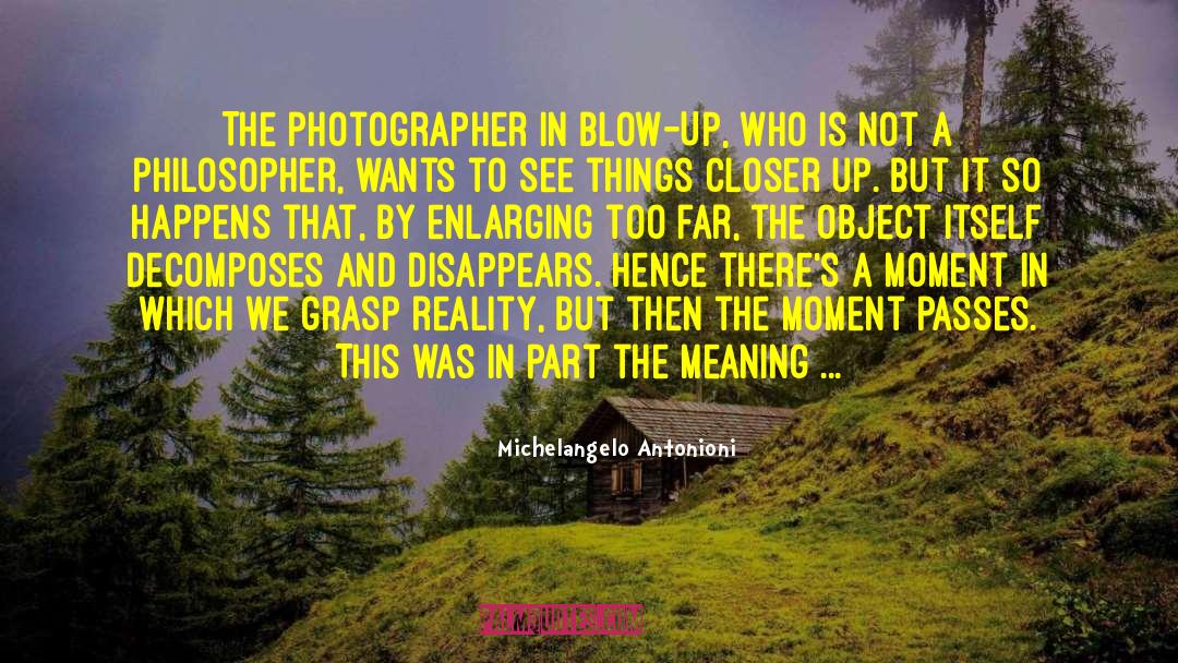 Enlarging quotes by Michelangelo Antonioni