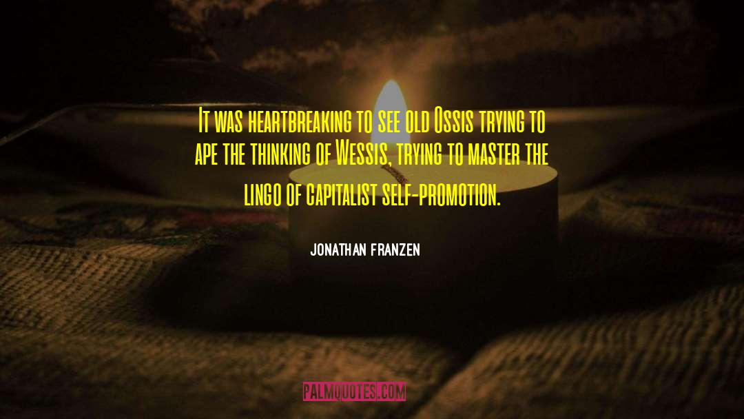 Enlightened Master quotes by Jonathan Franzen