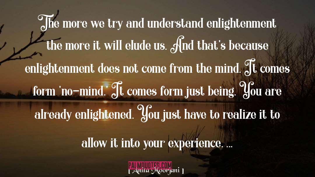 Enlightened Ones quotes by Anita Moorjani