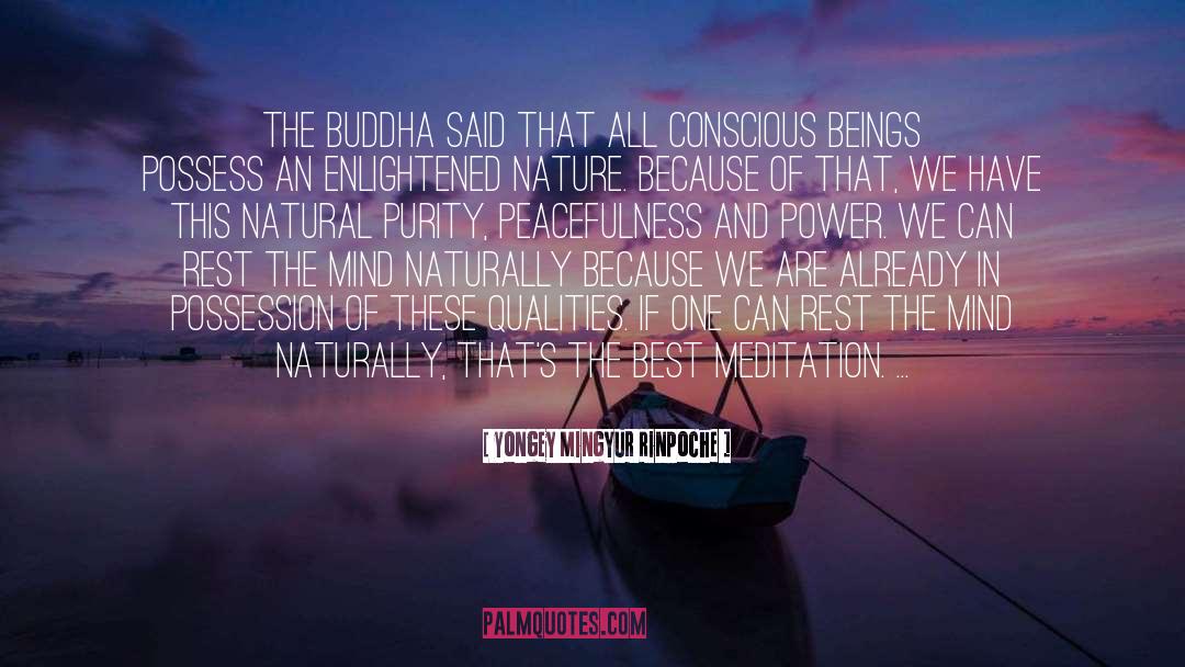 Enlightened quotes by Yongey Mingyur Rinpoche