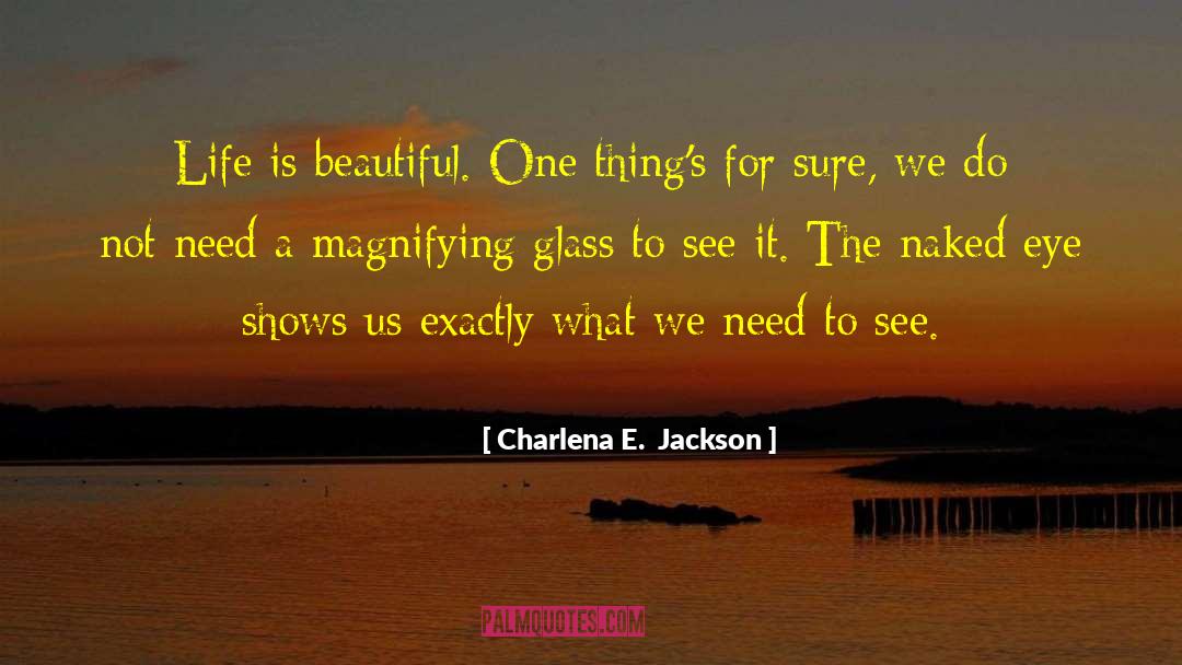 Enlightening Experiences quotes by Charlena E.  Jackson